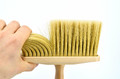 AW Ceiling Brush Expert 190mm