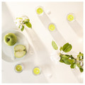 LÖVSKOGSLUND Scented tealight, Apple/light green, 3.5 hr