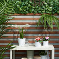 FEJKA Artificial plant, wall mounted/in/outdoor green/lilac, 26x26 cm