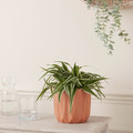 GoodHome Terracota Plant Pot 12 cm, vertical stripes