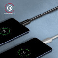AXAGON USB Cable BUCM3-AM10AB cable USB-C USB-A, 1.0