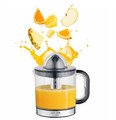 Adler Citrus Juicer AD 4012
