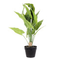 Decorative Artificial Alocasia Plant 55cm