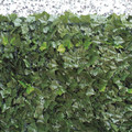 Garden Screen Leaves 100x300cm
