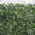 Garden Screen Leaves 100x300cm