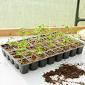 Verve Tray Seed Pots 5 x 5 x 40 cm 5pcs