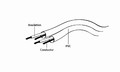 Gembird Stereo Cable MINIJACK-> MINIJACK M/M 2M