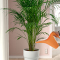 IKEA PS 2002 Watering can, orange, 1.2 l