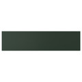 HAVSTORP Drawer front, deep green, 80x20 cm