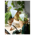 SVÄMSKOG Self-watering insert, terracotta/transparent, 70 cl