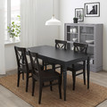 INGATORP / INGOLF Table and 4 chairs, black, black-brown