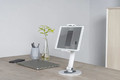 NewStar Tablet Stand 4.7-12.9" DS15-540WH1