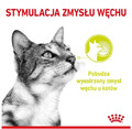 Royal Canin Sensory Smell Wet Food for Cats 85g