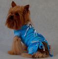 Grande Finale Postoperative Shirt for Dogs Size 1 / 22cm, blue