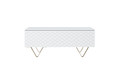 Coffee Table with Storage Scalia 120, matt white/gold legs