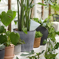 SVÄMSKOG Self-watering insert, terracotta/transparent, 70 cl