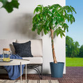 ÅKERBÄR Plant pot, in/outdoor dark blue, 32 cm