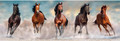 Clementoni Jigsaw Puzzle Compact Panorama Horses 1000pcs 14+