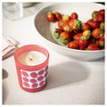 BLODBOK Scented candle in glass, Strawberry/bright pink, 45 hr