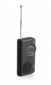 JVC Portable Radio RAE311B