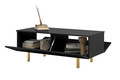 Coffee Table with Storage Scalia II 120, matt black, gold legs