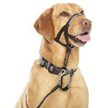 Halti Headcollar Size 3, black