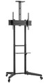 NewStar Floor Stand 37-70" 50kg FL50-550BL1