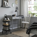 RÅSKOG / NORRÅVA Trolley with lid, black, 28x38x61 cm