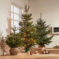 Metal Christmas Tree Stand Max. Height 210 cm