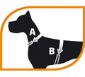 Ferplast Ergocomfort P Adjustable Dog Harness L, red