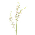 Artificial Spray Orchid Jumi 106 cm, 1pc, assorted colours