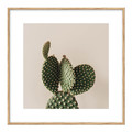 Picture Set Palm & Cactus 20 x 20 cm 3-pack