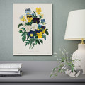 PJÄTTERYD Picture, flowers, 30x40 cm