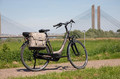 Newlooxs Bicycle Bag Bamboo Alba Double, sand