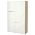 BESTÅ Storage combination with doors, white stained oak effect, Selsviken high-gloss white, 120x40x192 cm