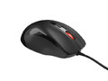 Natec Mouse Pigeon 2 4000 DPI 1.8m, black