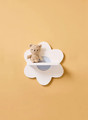 Kid's Concept Shelf flower, white