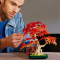 LEGO Icons Japanese Red Maple Bonsai Tree 10348 18+