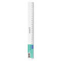 Starpak Ruler 30cm 10pcs