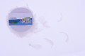 Craft Decorative String with Feathers 10m, white