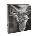 Lever Arch File A4/7cm, Cats