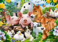 Castorland Children's Puzzle Farm Friends 60pcs 5+
