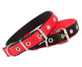 Dingo Dog Collar 2.5cm/50cm, red-black
