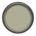 Dulux EasyCare Matt Latex Stain-resistant Paint 2.5l stylish khaki