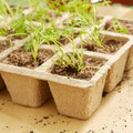 Verve Natural Tray Seed Pots 4.5 x 4.5 x 12 cm 5pcs