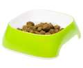 Ferplast Glam Bowl for Dogs Medium, green