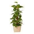 Seagrass Herringbone Plant Pot 19cm