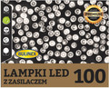 LED Lighting Chain 100 LED 4.95 m, indoor/outdoor, cool white