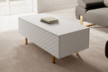 Coffee Table with Storage Scalia II 120, matt white, gold legs