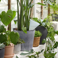 SVÄMSKOG Self-watering insert, terracotta/transparent, 70 cl